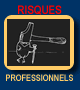 Search in Risques professionnels